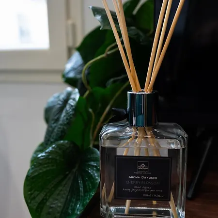 Apartman Elegant Au Coeur De - A Pied ! *